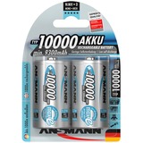 Ansmann NiMh Professionnel Mono D HR20, Batterie Argent, 10000 mAH