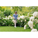 Bosch Taille-bordures sans fil EasyGrassCut SOLO18-230, 18 volts, bobine de fil supplémentaire, Coupe-bordures Vert/Noir