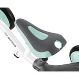 GLOBBER 638-206, Vélo d'équilibre Menthe/Blanc