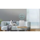 Hisense D16CW , Déshumidificateur Blanc