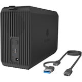 ICY BOX Dual bay, HDD/SSD USB 3.2, Boîtier RAID Noir