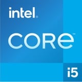 Intel® Core™ i5-12400 socket 1700 processeur Tray
