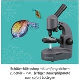 KOSMOS 636098, Boîte d’expérience 