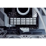 Kingston FURY 32 Go DDR5-7200 Kit, Mémoire vive Blanc, KF572C38RWK2-32, Renegade, XMP