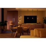 Philips Hue 929002478101, Lampe à LED 
