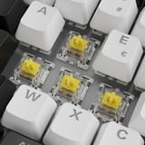 Sharkoon clavier gaming Blanc, Layout FR, Gateron Yellow