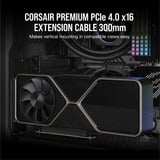 Corsair Premium PCIe 4.0 x16, Câble d'extension Noir, 0,3 mètres