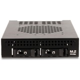 DeLOCK Châssis amovible 3,5″ pour 2 x M.2 NVMe SSD, Cadre de montage 