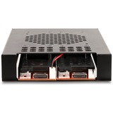 DeLOCK Châssis amovible 3,5″ pour 2 x M.2 NVMe SSD, Cadre de montage 