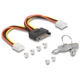 DeLOCK Châssis amovible 3,5″ pour 2 x M.2 NVMe SSD, Cadre de montage 