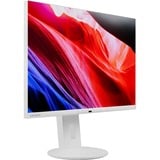 Lenovo C24d-20 LED display 61 cm (24") 1920 x 1200 pixels Full HD Gris, Blanc Moniteur  Blanc, 61 cm (24"), 1920 x 1200 pixels, Full HD, LED, 7 ms, Gris, Blanc