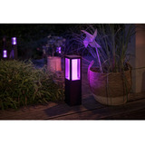 Philips Hue 915005731001, Lumière LED Noir