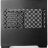 RAIJINTEK PAEAN MINI boîtier mini tower Noir | 1x USB-A | 1x USB-C | Verre Trempé