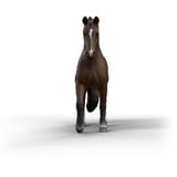 Schleich Horse Club KWPN Hongre, Figurine 