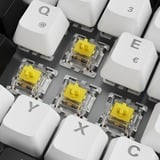 Sharkoon SKILLER SGK50 S3 RGB clavier gaming mécanique Blanc, Layout DE (QWERTZ), Gateron Yellow, 75%