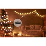 Shelly Pack de Noël 2, Bundle 