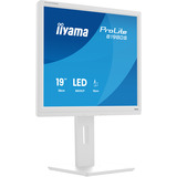 iiyama ProLite B1980S-W1 écran plat de PC 48,3 cm (19") 1280 x 1024 pixels SVGA LED Blanc Moniteur  Blanc (mat), 48,3 cm (19"), 1280 x 1024 pixels, SVGA, LED, 3 ms, Blanc