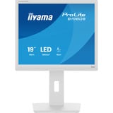 iiyama ProLite B1980S-W1 écran plat de PC 48,3 cm (19") 1280 x 1024 pixels SVGA LED Blanc Moniteur  Blanc (mat), 48,3 cm (19"), 1280 x 1024 pixels, SVGA, LED, 3 ms, Blanc