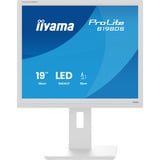 iiyama ProLite B1980S-W1 écran plat de PC 48,3 cm (19") 1280 x 1024 pixels SVGA LED Blanc Moniteur  Blanc (mat), 48,3 cm (19"), 1280 x 1024 pixels, SVGA, LED, 3 ms, Blanc
