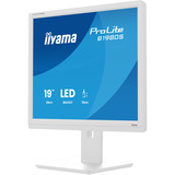 iiyama ProLite B1980S-W1 écran plat de PC 48,3 cm (19") 1280 x 1024 pixels SVGA LED Blanc Moniteur  Blanc (mat), 48,3 cm (19"), 1280 x 1024 pixels, SVGA, LED, 3 ms, Blanc