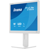 iiyama ProLite B1980S-W1 écran plat de PC 48,3 cm (19") 1280 x 1024 pixels SVGA LED Blanc Moniteur  Blanc (mat), 48,3 cm (19"), 1280 x 1024 pixels, SVGA, LED, 3 ms, Blanc