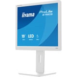 iiyama ProLite B1980S-W1 écran plat de PC 48,3 cm (19") 1280 x 1024 pixels SVGA LED Blanc Moniteur  Blanc (mat), 48,3 cm (19"), 1280 x 1024 pixels, SVGA, LED, 3 ms, Blanc