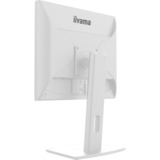 iiyama ProLite B1980S-W1 écran plat de PC 48,3 cm (19") 1280 x 1024 pixels SVGA LED Blanc Moniteur  Blanc (mat), 48,3 cm (19"), 1280 x 1024 pixels, SVGA, LED, 3 ms, Blanc