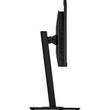 ASUS Zen AiO 24 E5402WVARK-BPC037X Intel Core 5 120U 60,5 cm (23.8") 1920 x 1080 pixels PC All-in-One 8 Go DDR5-SDRAM 512 Go SSD Windows 11 Pro Wi-Fi 6E (802.11ax) Noir Noir, 60,5 cm (23.8"), Full HD, Intel Core 5, 8 Go, 512 Go, Windows 11 Pro