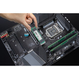 Crucial E100 1 To SSD PCIe 4.0 x4, NVMe, M.2 2280