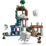 LEGO 21597, Jouets de construction 