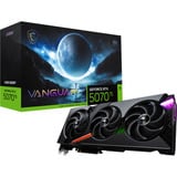 MSI V531-069R, Carte graphique 