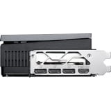 MSI V531-069R, Carte graphique 