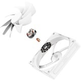 NZXT F120Q ventilateur de boîtier Blanc, 120 x 120 x 25 mm, PWM