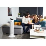 Rowenta Silent Comfort 3-in-1 HQ8120 Intérieure Argent 2400 W Chauffage de ventilateur électrique, Radiateur soufflant Blanc, Chauffage de ventilateur électrique, 1,9 m, IP20, Intérieure, Sol, Argent