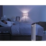 Rowenta Silent Comfort 3-in-1 HQ8120 Intérieure Argent 2400 W Chauffage de ventilateur électrique, Radiateur soufflant Blanc, Chauffage de ventilateur électrique, 1,9 m, IP20, Intérieure, Sol, Argent