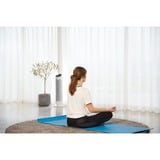 Rowenta Silent Comfort 3-in-1 HQ8120 Intérieure Argent 2400 W Chauffage de ventilateur électrique, Radiateur soufflant Blanc, Chauffage de ventilateur électrique, 1,9 m, IP20, Intérieure, Sol, Argent
