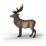 Schleich Wild Life Cerf Rouge Américain, Figurine 