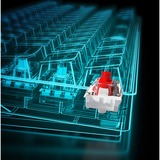 Sharkoon SGK50 S4 clavier USB AZERTY Français Noir Noir, Layout FR (AZERTY), Kailh Red, 60%, 60%, USB, AZERTY, LED RGB, Noir