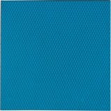 Thermal Grizzly Minus Pad Advance - 100x100x0,5 mm, Pad Thermique 