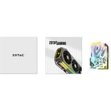 ZOTAC ZT-B50620Q-10M, Carte graphique 