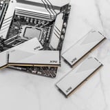 ADATA 64 Go DDR5-6000 (2x 32 Go) mémoire vive Blanc, AX5U6000C3032G-DCLAWH, XMP 3.0