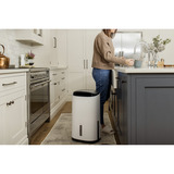 Meaco Dry Arete Two 25L Déshumidificateur à compresseur et purificateur d'air Blanc/Noir