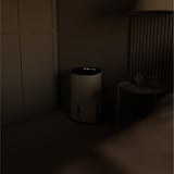 Meaco Dry Arete Two 25L Déshumidificateur à compresseur et purificateur d'air Blanc/Noir