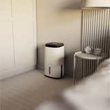 Meaco Dry Arete Two 25L Déshumidificateur à compresseur et purificateur d'air Blanc/Noir