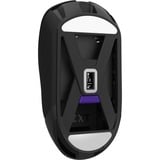 NZXT  LIFT Elite Wireless, Souris gaming Noir