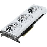 Palit GeForce RTX 5070 OC WHITE, Carte graphique 