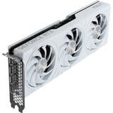 Palit GeForce RTX 5070 OC WHITE, Carte graphique 