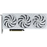 Palit GeForce RTX 5070 OC WHITE, Carte graphique 