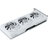 Palit GeForce RTX 5070 OC WHITE, Carte graphique 
