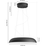 Philips Hue White Ambiance Amaze Suspension, Lumière LED Noir